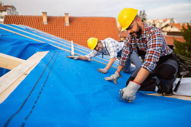 Best Commercial Roofing Services  in Sweet Home, AR